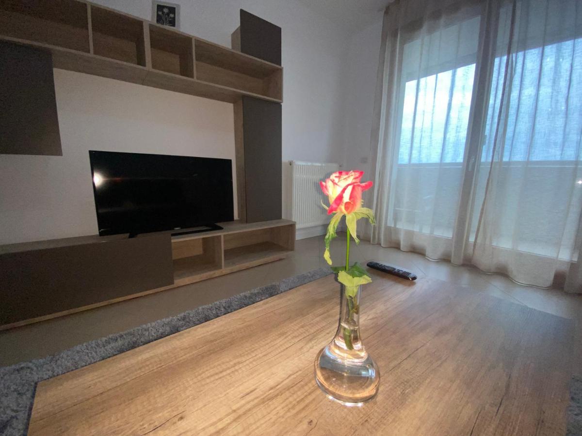 Central Apartment Тімішоара Екстер'єр фото