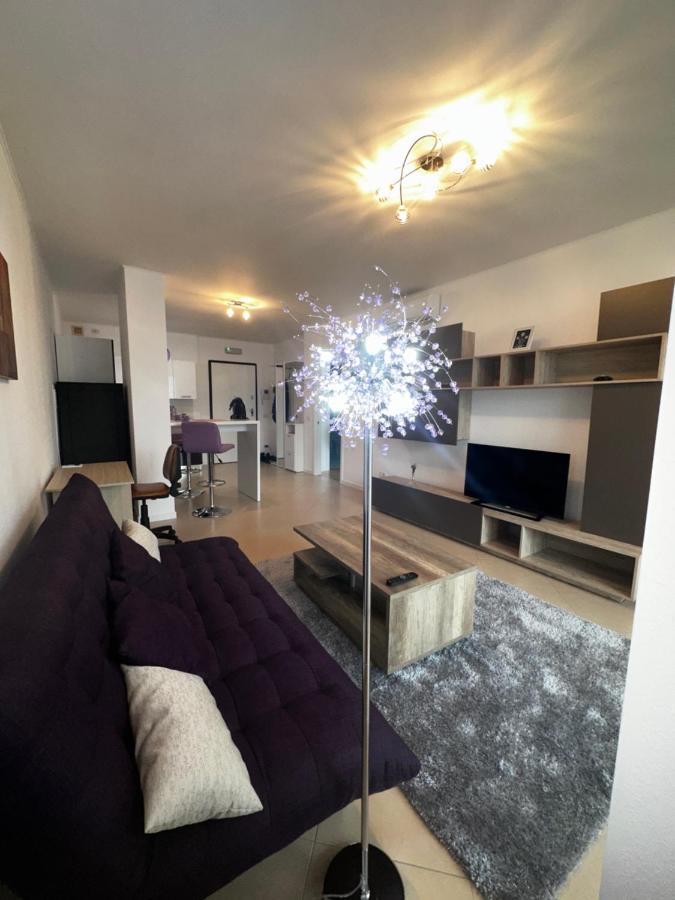 Central Apartment Тімішоара Екстер'єр фото