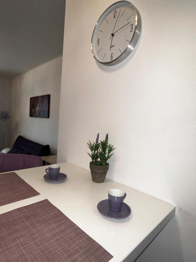 Central Apartment Тімішоара Екстер'єр фото