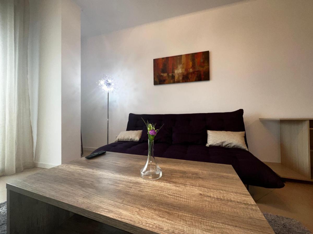 Central Apartment Тімішоара Екстер'єр фото