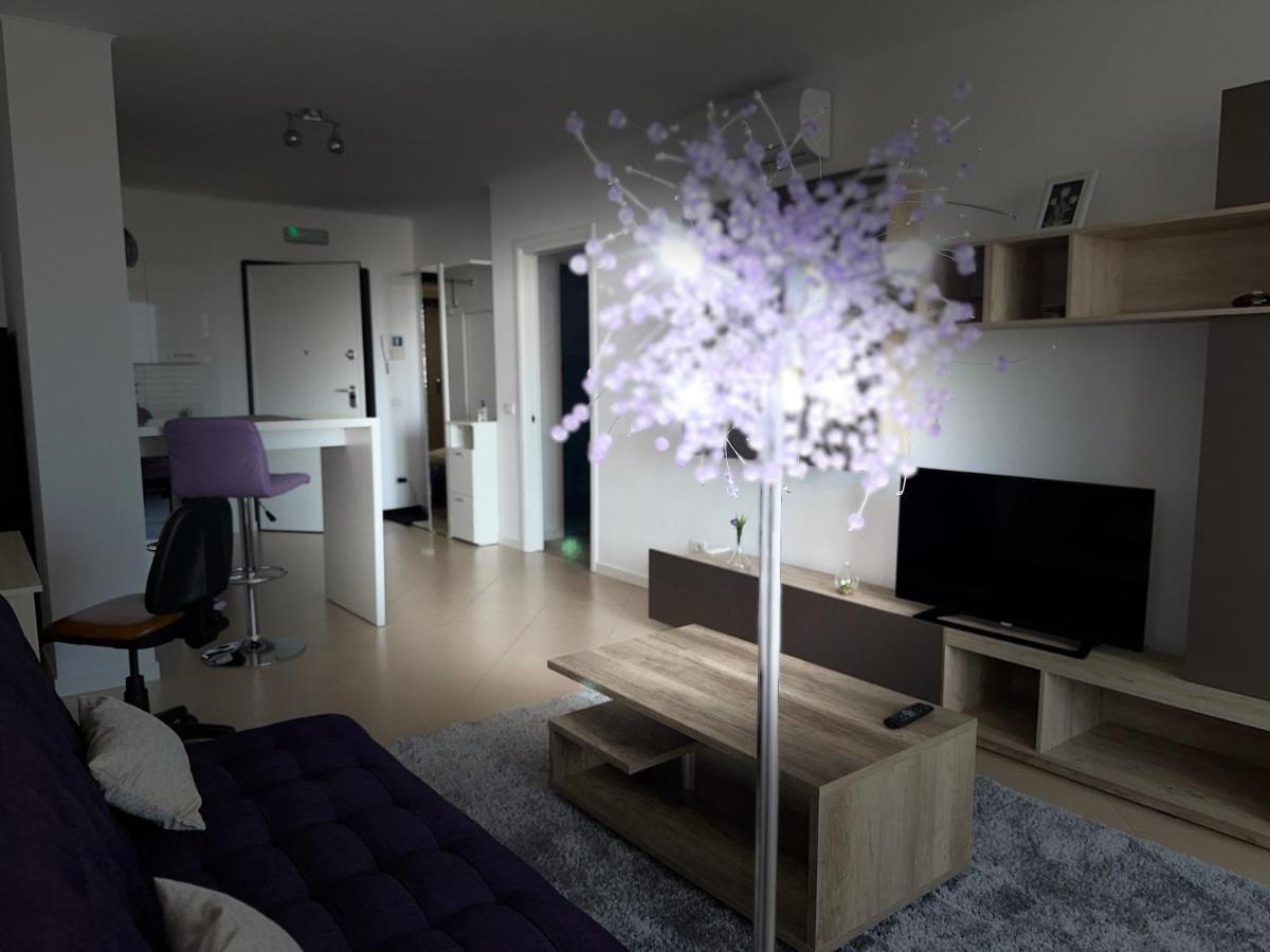 Central Apartment Тімішоара Екстер'єр фото