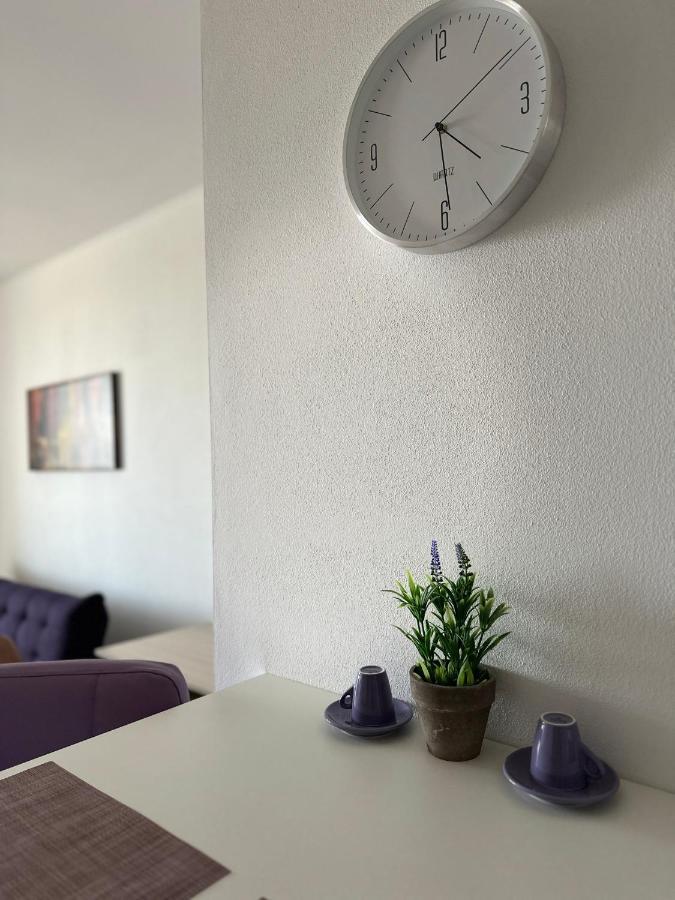 Central Apartment Тімішоара Екстер'єр фото