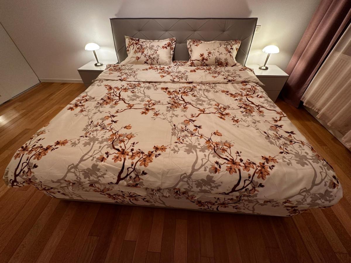 Central Apartment Тімішоара Екстер'єр фото